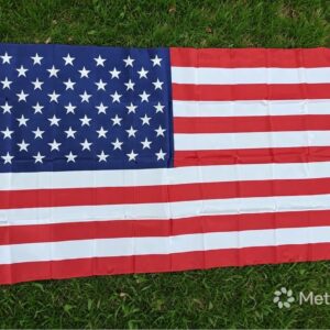 USA  Flag